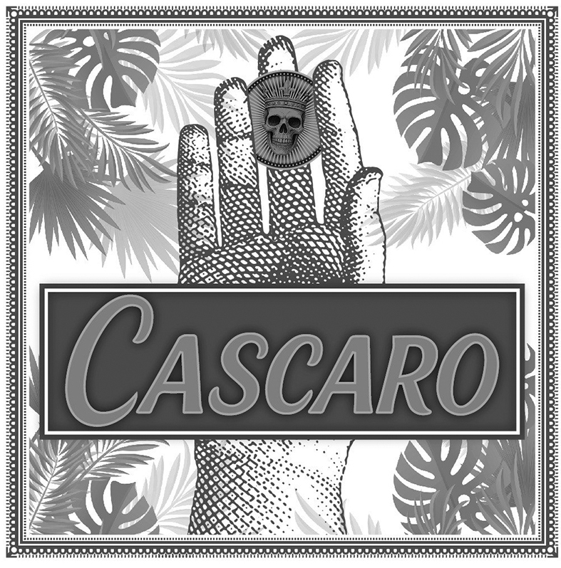 Лого ТМ cascaro