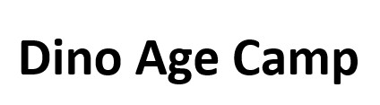 dino age camp