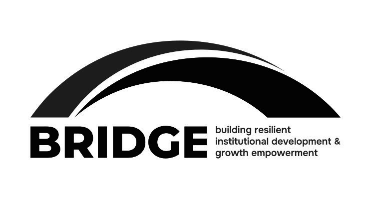 bridge building resilient institutional development & growth empowerment