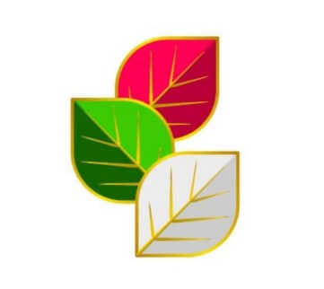 Фігуративна марка № m202519295