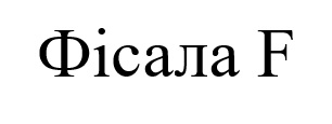 фісала f