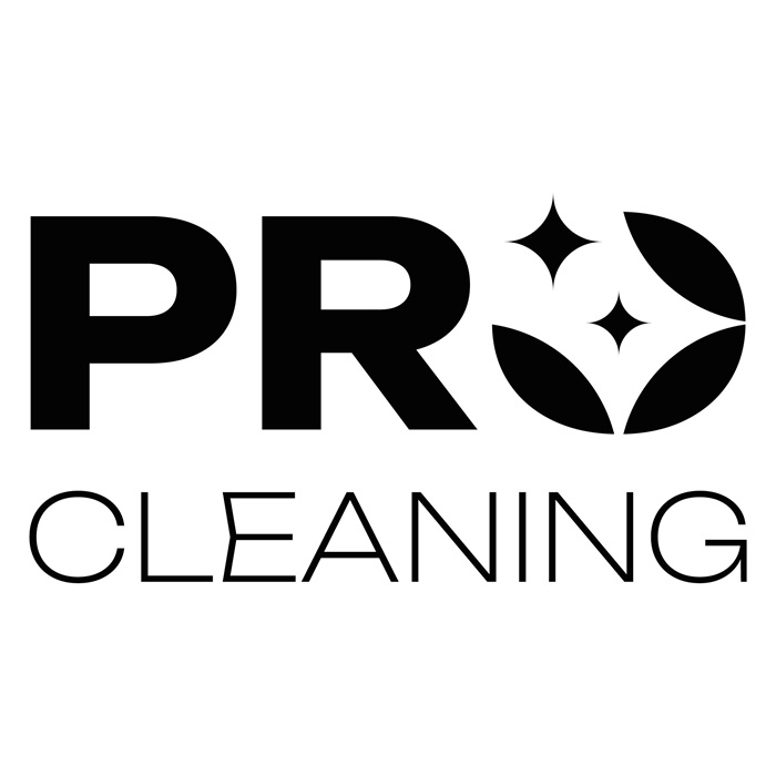 pro cleaning