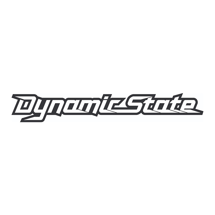 dynamic state