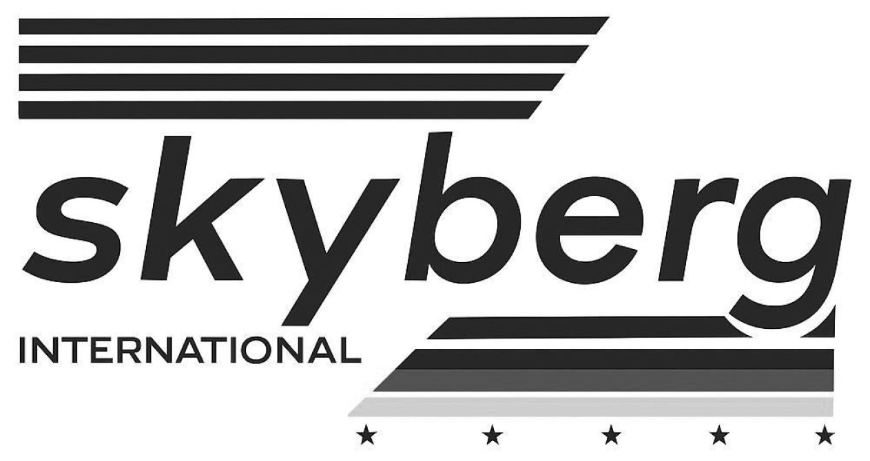 skyberg international