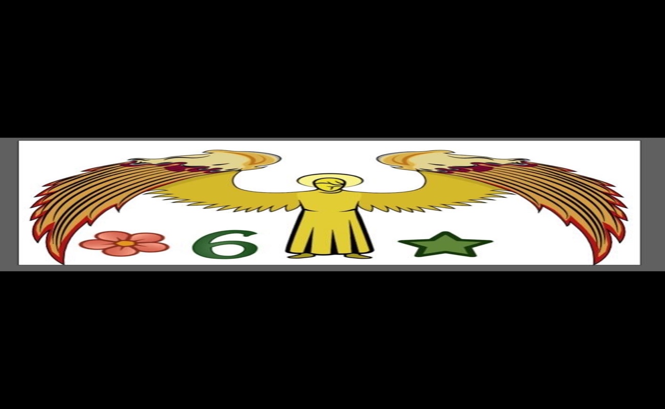 6