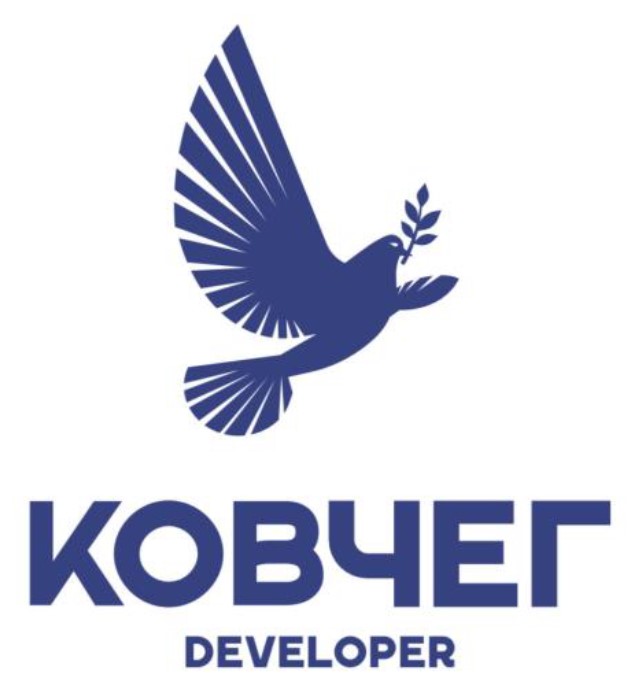 developer