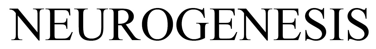 neurogenesis