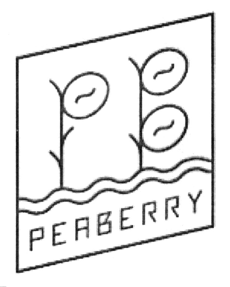 peaberry