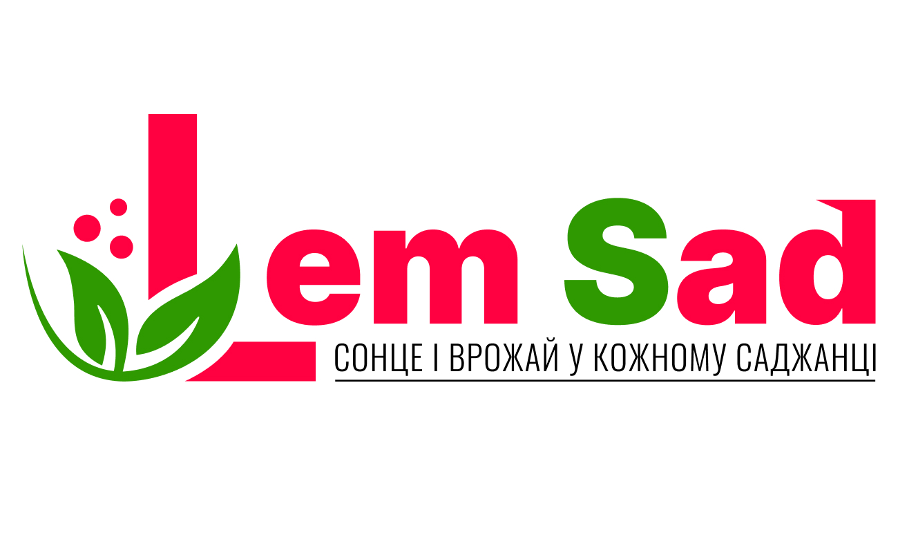 сонце і врожай у кожному саджанці