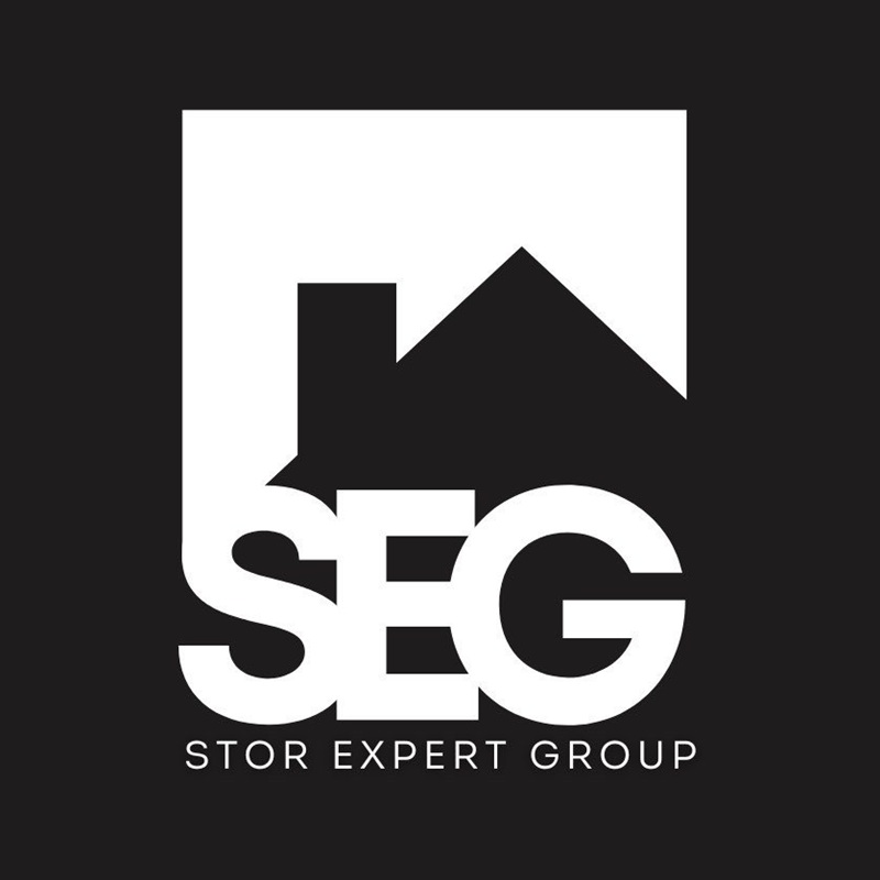 seg stor expert group