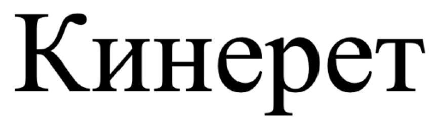 Лого ТМ кинерет