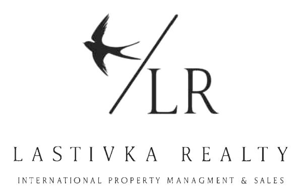 limited liability company