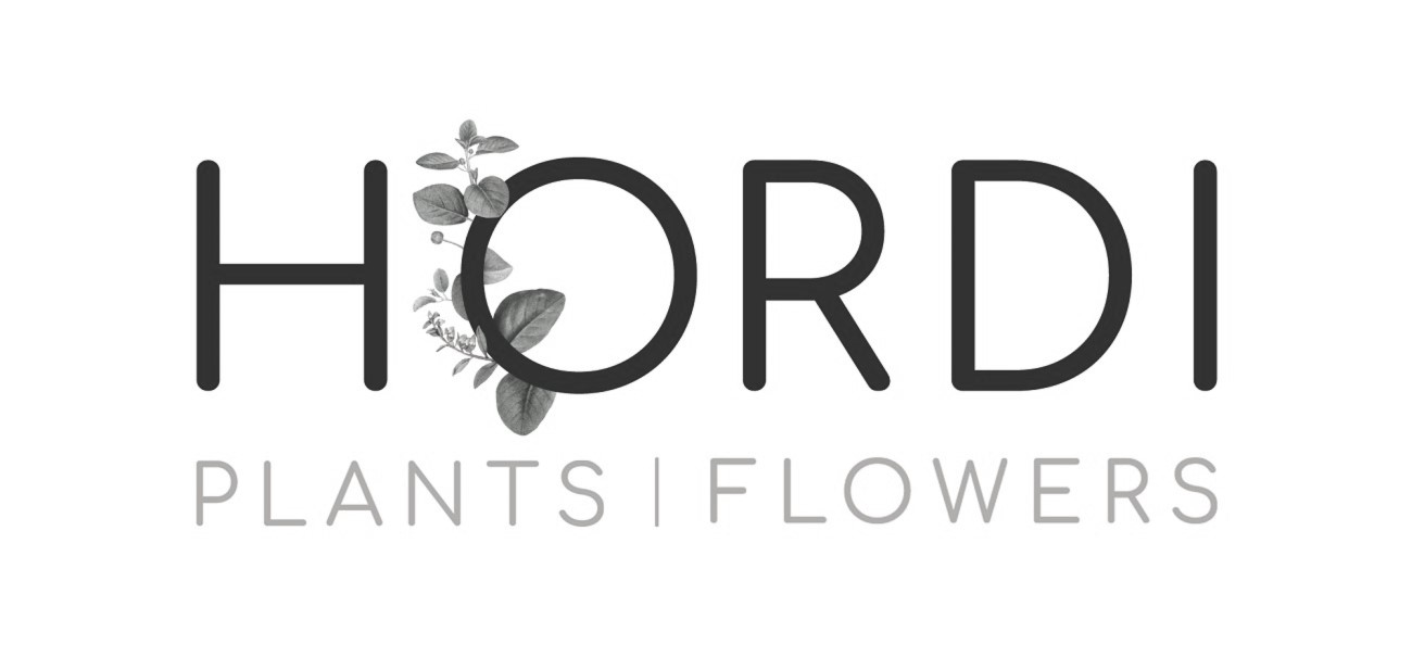plants flowers