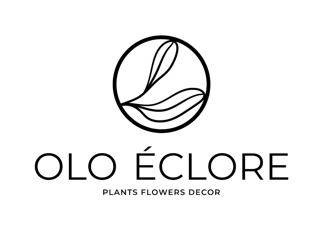 plants flowers decor