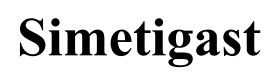 simetigast