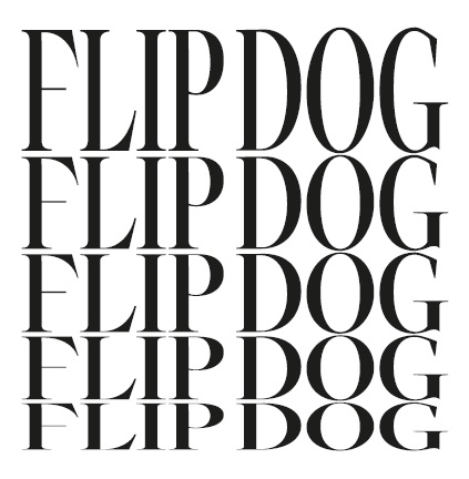 flip dog