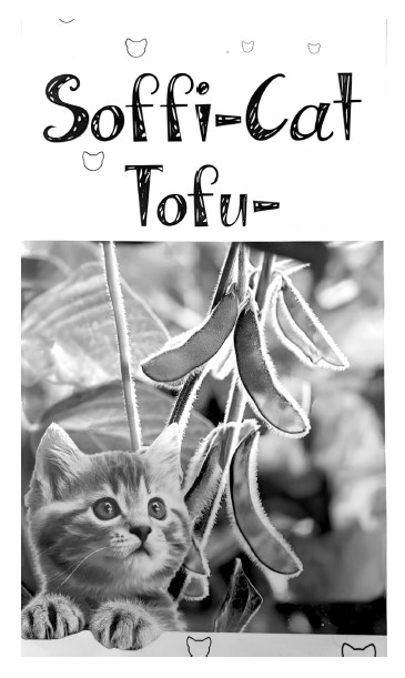 soffi cat tofu