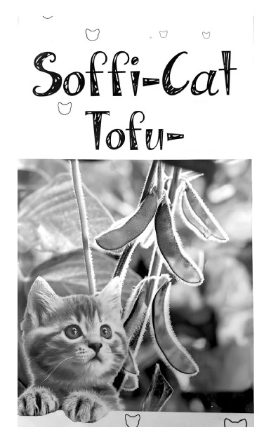 soffi cat tofu