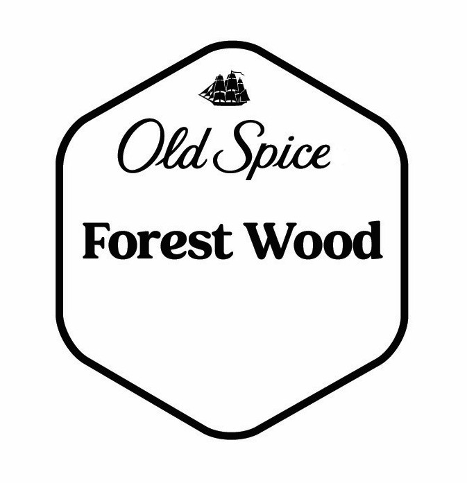 forest wood