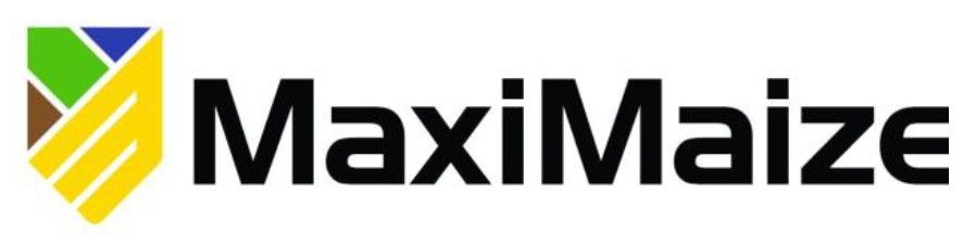 maxi maize