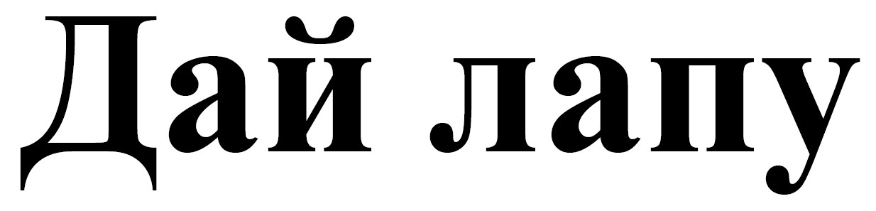дай лапу