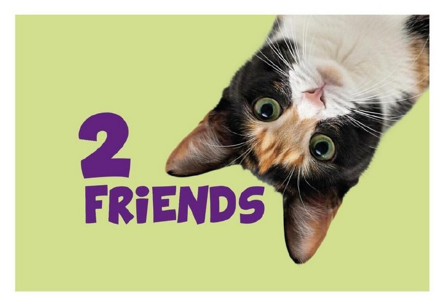 2 friends