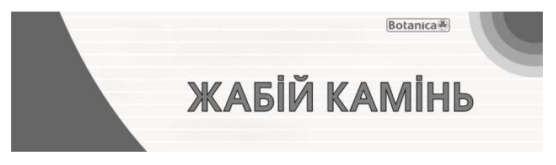 жабій камінь