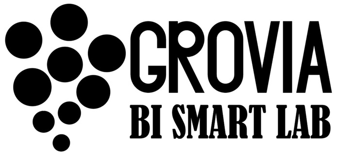 bi smart lab