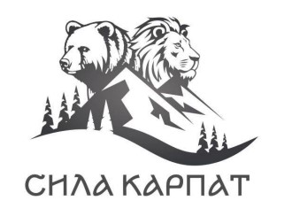 сила карпат