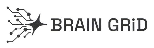 brain grid