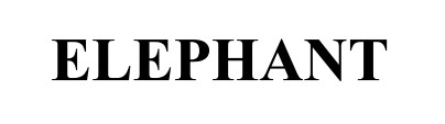 elephant