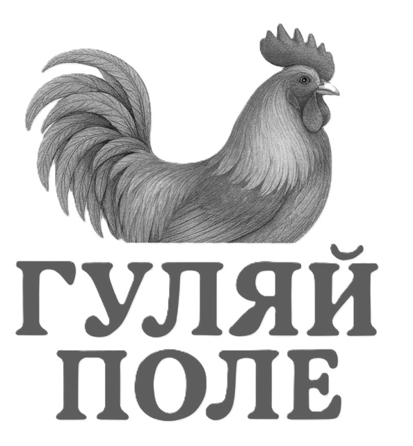 гуляй поле