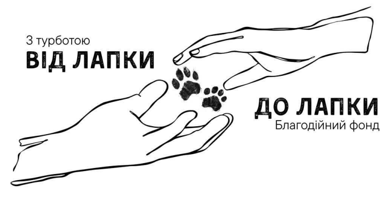 з турботою від лапки до лапки благодійний фонд