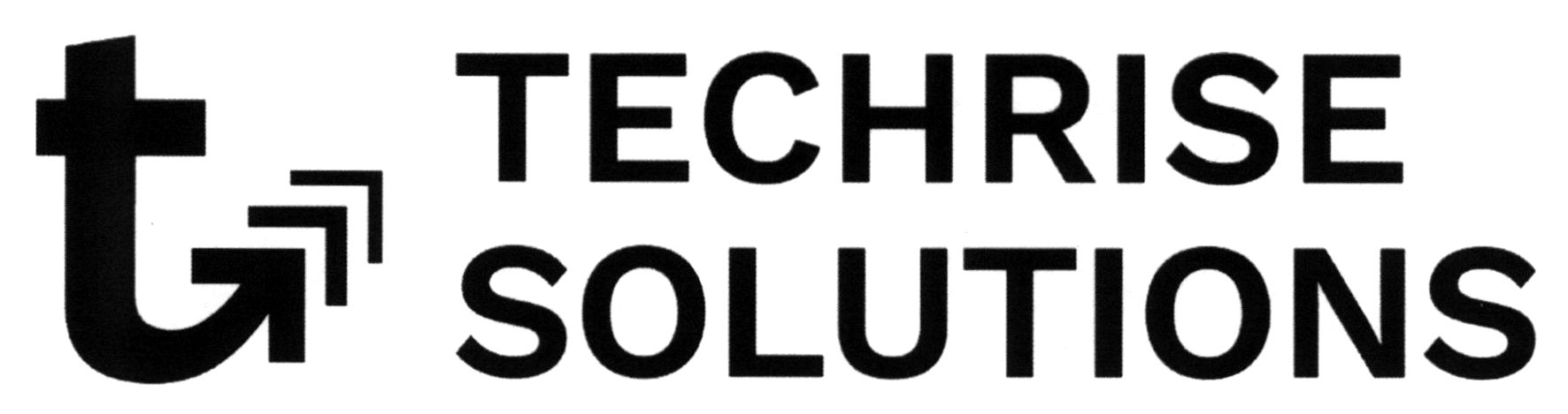 techrise solutions