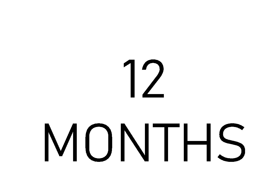 12 months