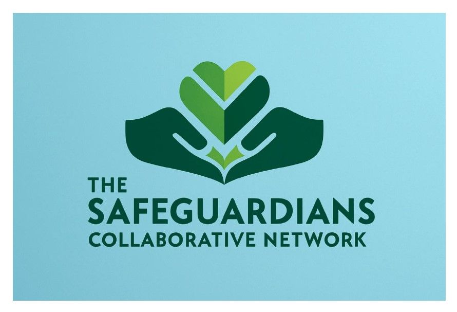 the safeguardians collaborative network