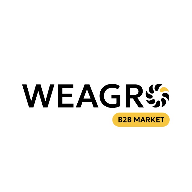 b2b market