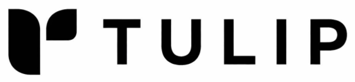 tulip