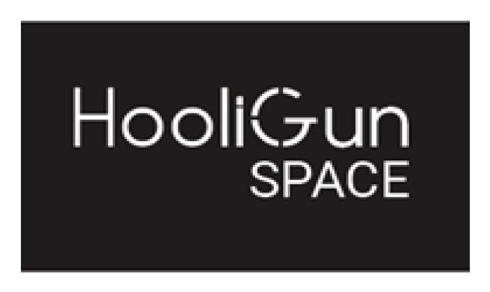 hooligun space