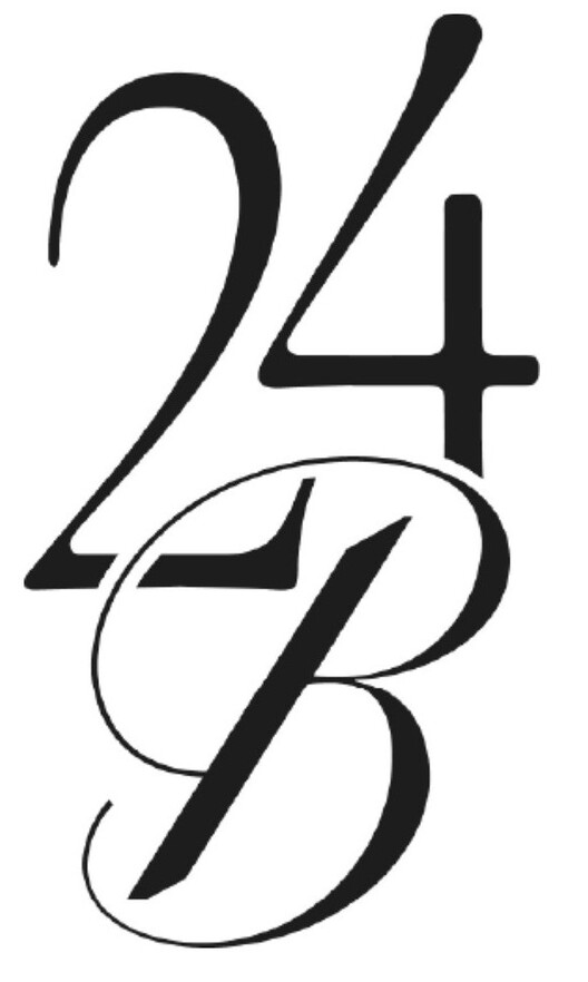 24 в
