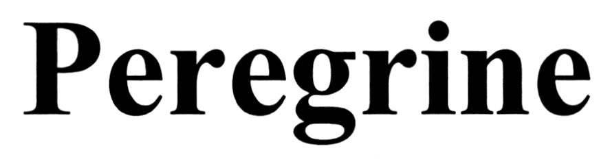 peregrine