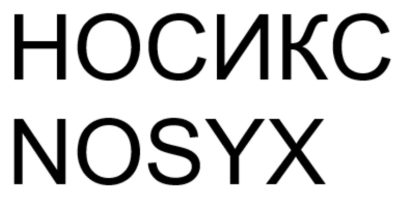 носикс