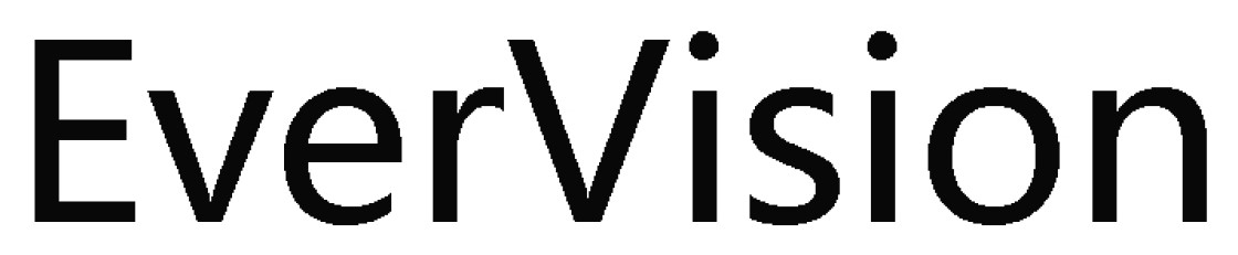 ever vision