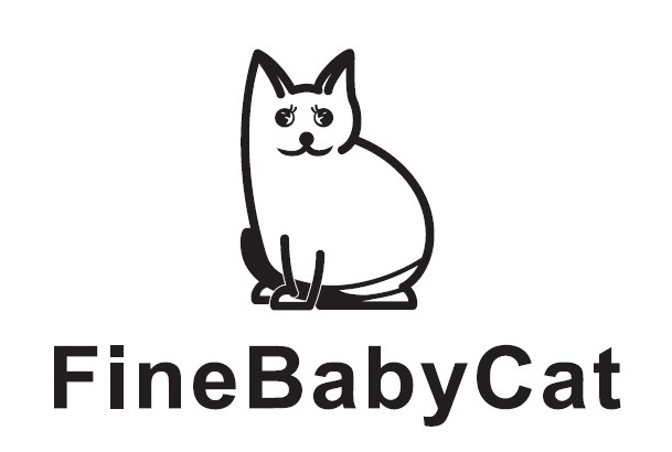 fine baby cat