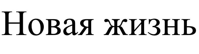 новая жизнь