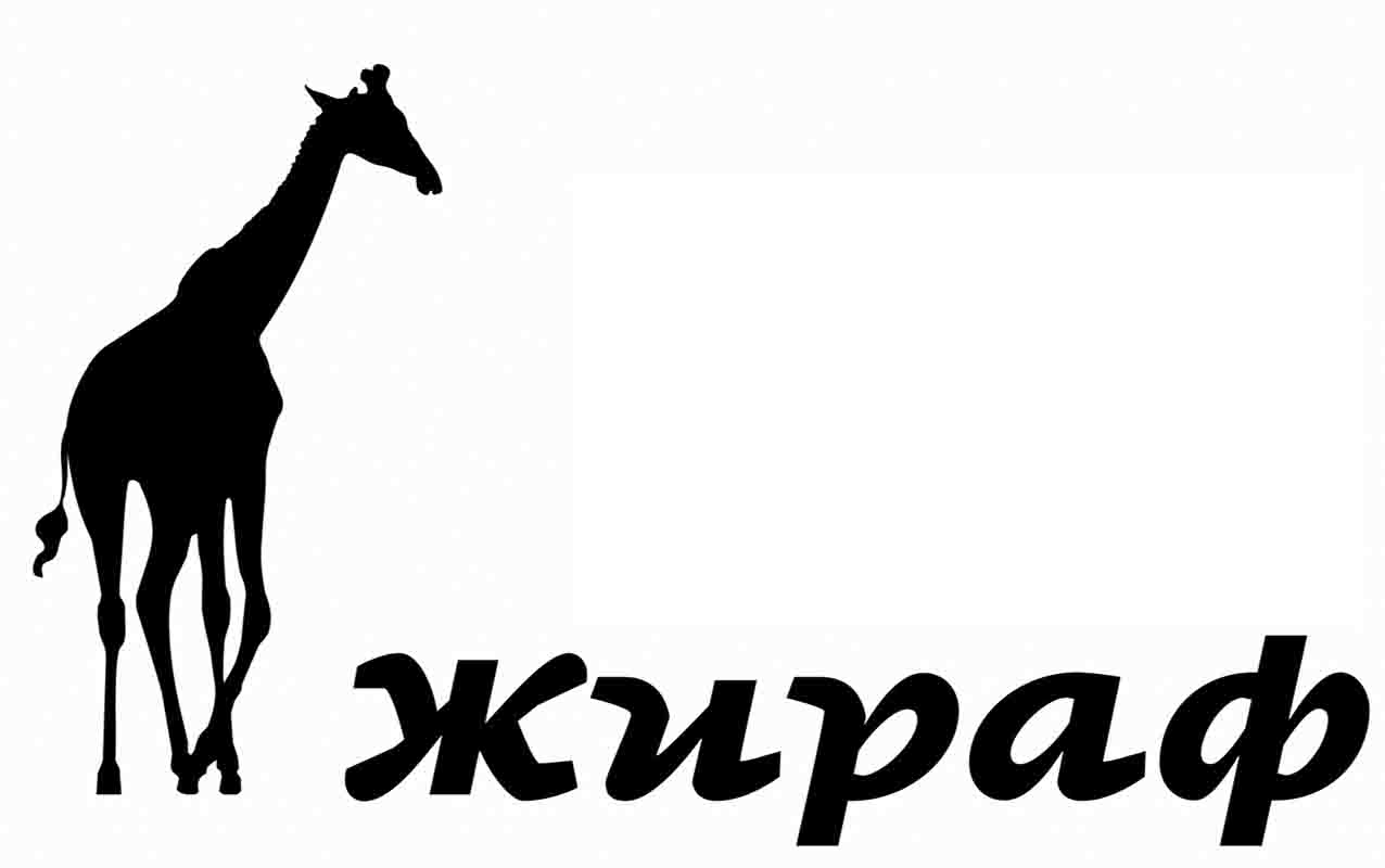 жираф