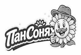 пан сонях
