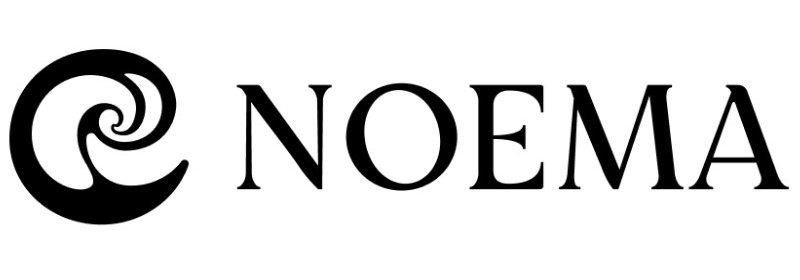 noemа