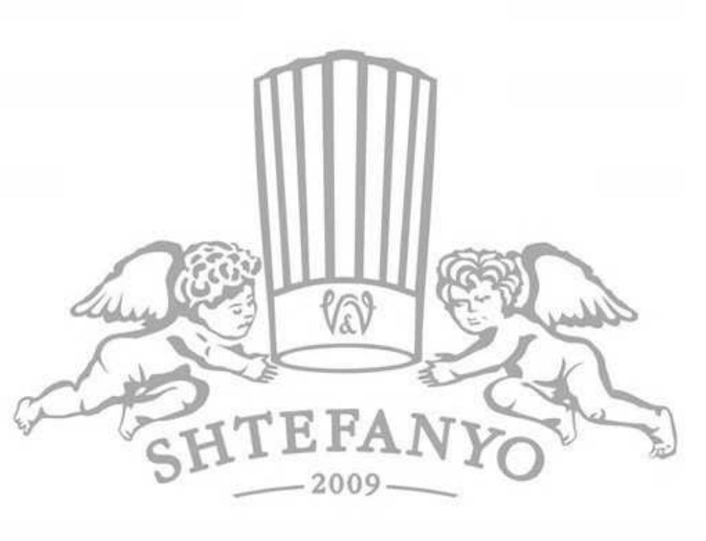 shtefanyo 2009