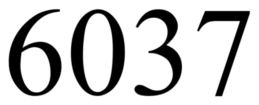 6037